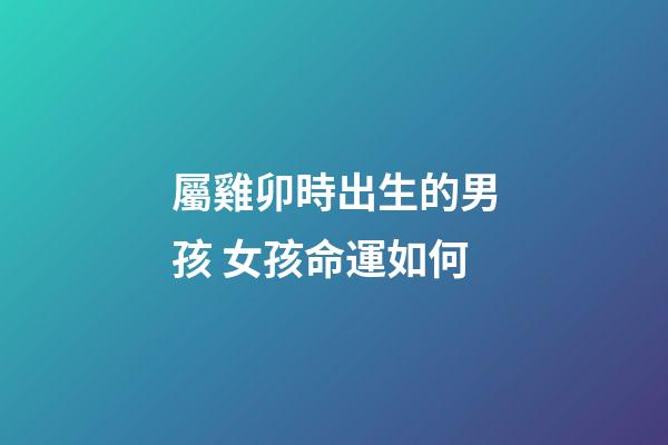 屬雞卯時出生的男孩 女孩命運如何